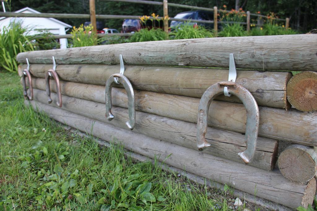 Bear Paw Lodge Golden Bagian luar foto